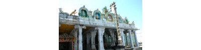 246. திருவல்லம்